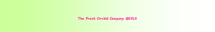 Text Box: The Fresh Orchid Company 2010